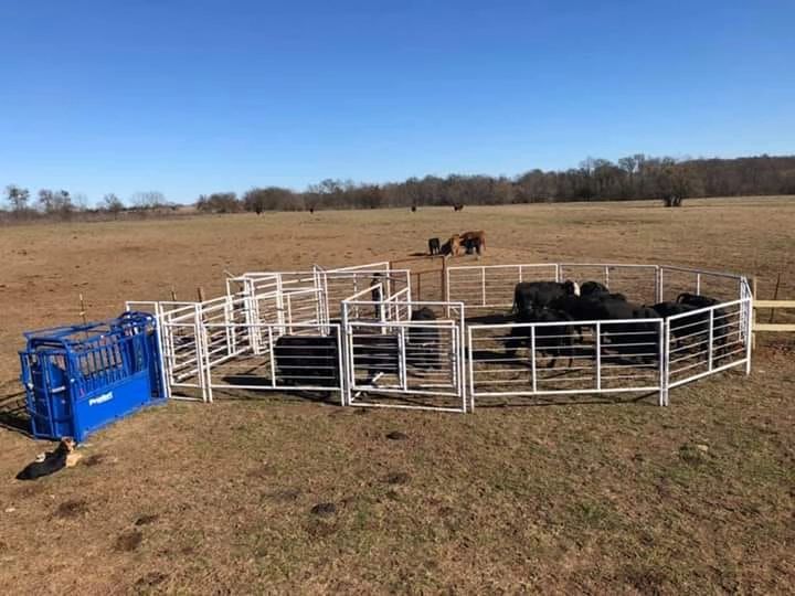 C & C Cattle Equipment Home